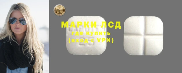 PSILOCYBIN Горнозаводск