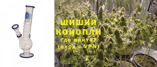 PSILOCYBIN Горнозаводск