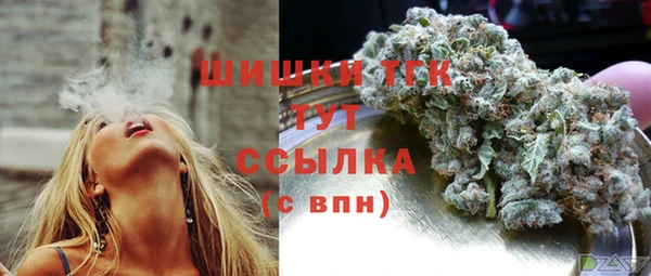PSILOCYBIN Горнозаводск