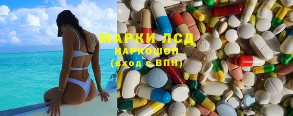 PSILOCYBIN Горнозаводск