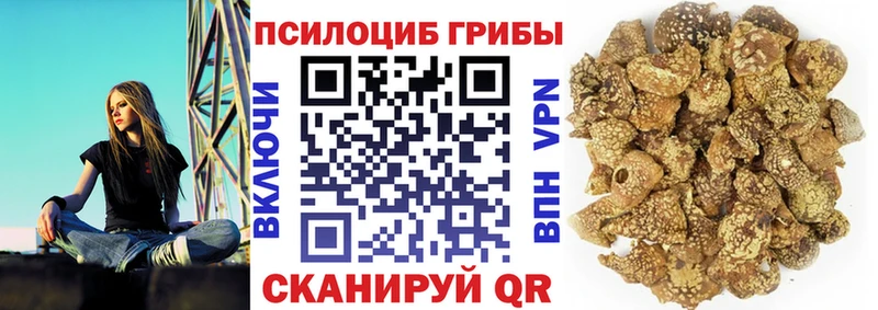 наркота KRAKEN как зайти Галлюциногенные грибы MAGIC MUSHROOMS Мостовской